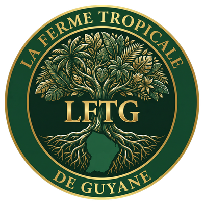 Logo LFTG