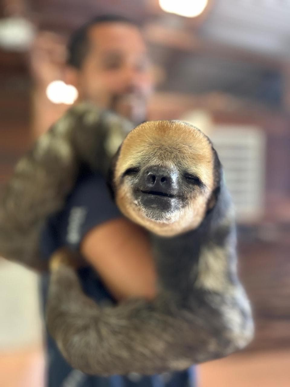 Affiche promotionnelle CCAND