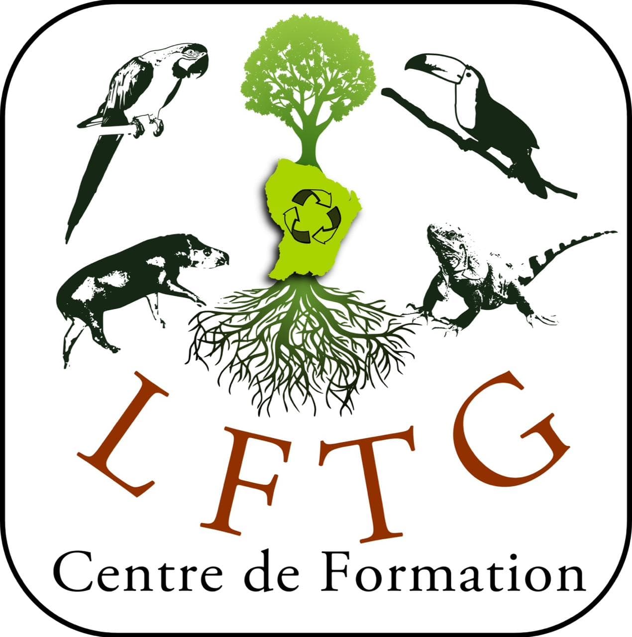 LFTG Centre de Formation